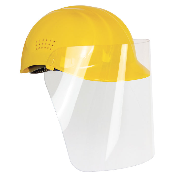 Disposable Anti-Fog Face Shield